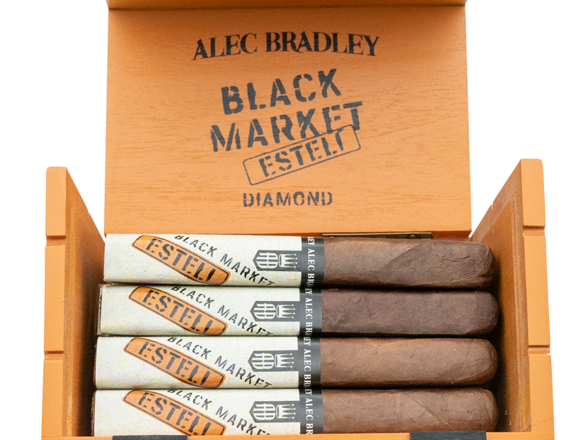 ALEC BRADLEY BLACK MARKET ESTELI DIAMOND (16)