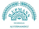 H UPMANN BY AJ FERNANDEZ CHURCHILL (54X7)