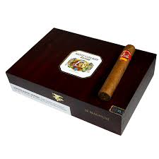 SAINT LUIS REY CARENAS BELICOSO (54X6 1/8)