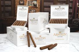 ASHTON CAMEROON HALF CORONA (50)