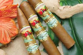 ASHTON SAN CRISTOBAL ELEGANCIA CORONA (25)