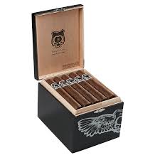 ASYLUM NYCTOPHILIA 50X5 25