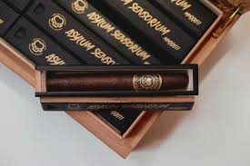 ASYLUM SENSORIUM MMXX111  11X18  (20)