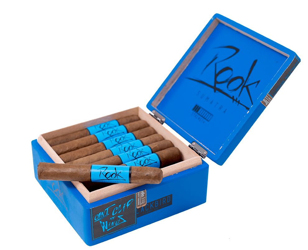 BLACKBIRD ROOK SUMATRA ROBUSTO 5X50  (21)