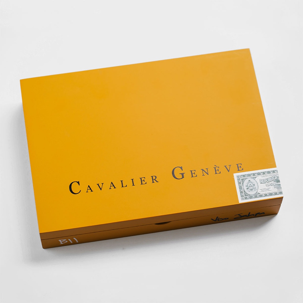 CAVALIER GENEVE BII-VJ TORPEDO (20)
