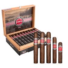 EIROA CBT MADURO 60X 6 (20)