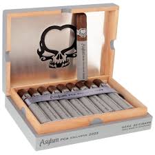 PCA ASYLUM 2023 6X52  (20)