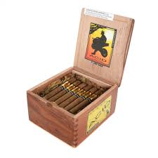 ACID EARTHINESS(5X43)(24)