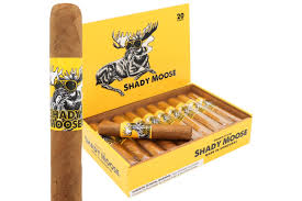 CHILLIN' MOOSE SHADY MOOSE ROBUSTO 51/2X50 BOX20