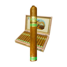 DUNBARTON SOBREMESA BRULEE WAGASHI 6X50  (13)