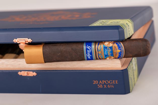 EP CARRILLO PLEDGE APOGEE 61/4X58  (10)