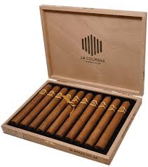 WARPED LA COLMENA NO.44 AMADO (10)