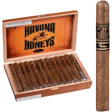 HAVANA HONEYS HONEY DELSOL CORONA 51/2X42 (25)