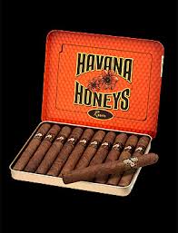 HAVANA HONEYS RUM Cigarillos4x305Packsof10(50)