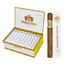 MACANUDO CAFE HAMPTON COURT ALUMINUM TUBE 51/2X42 (25)
