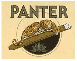 PANTER MIGNON 10X10 TINS