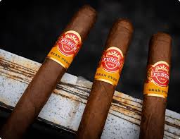 PUNCH GRAN PURO SIERRA 6 1/2 X 48 (25)