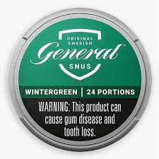 GENERAL SNUS WINTERGREEN 5CT