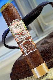 MY FATHER THE JUDGE TORO 6X56  (23)