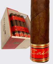 CAIN F 5.75 X 50 (12) OLIVA