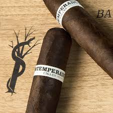 ROMA CRAFT INTEMPERANCE EC XVIII GOODNESS (12)