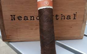 ROMA CRAFT NEANDERTHAL HoxD,4X46  (15)