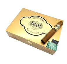 CASA MAGNA CONNECTICUT TORO GORDO 6X56  (20)