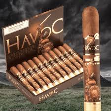 HAVOC BEICOSO 54X6  (11)