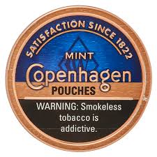 COPENHAGEN MINT  POUCHES 5 PACK