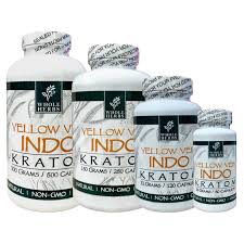 WHOLE HERBS YELLOW VEIN INDO 300GM 500CT CAPSULES