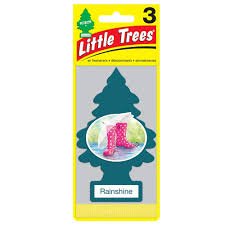 LITTLE TREE CAR FRESHENER - RAINSHINE