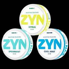 ZYN SPEARMINT SLIM 9MG