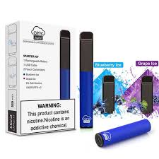 AIRIS AURA BLUEBERRY+GRAPE ICE (1000X2)