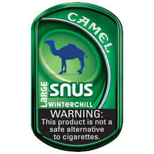 CAMEL SNUS WINTERCHILL POUCH 5CT