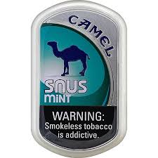 CAMEL SNUS MINT POUCH 5CT