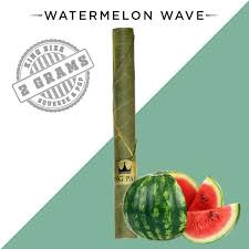 KING PALM - WATERMELON WAVE