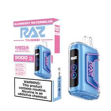 RAZ 9000PUFFS BLUEBERRY WATERMELON
