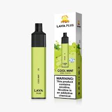 LAVA PLUS COOL MINT 2600 PUFFS (10)