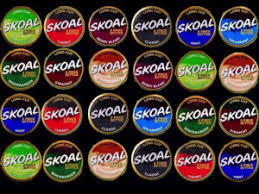 SKOAL SNUS SMOOTH MINT 5CT
