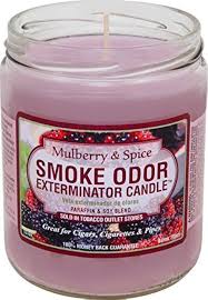 TOP SMOKE ODOR MULBERRY SPICE JAR CANDLE 13OZ
