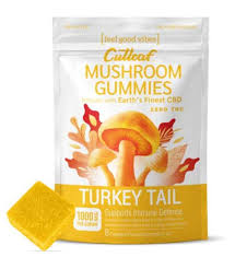 CUTLEAF MUSHROOM GUMMIES TURKEY TAIL 10PCK