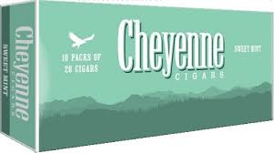 CHEYENNE LITTLE SWEET MINT