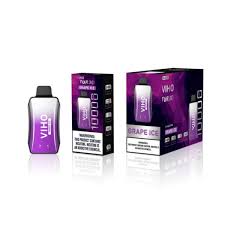 VIHO GRAPE ICE 10K PUFFS