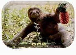 OCB Metal Tray - Sloth Large