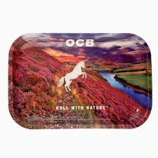 OCB Metal Tray - Unicorn Large