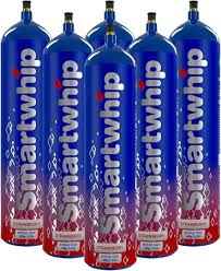 SMART WHIP CHARGER (6 PCS)