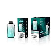 VIHO CACTUS LIME 10K PUFFS