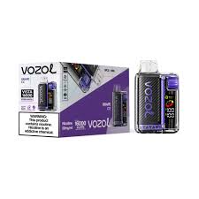 VOZOL VISTA 16K GRAPE ICE