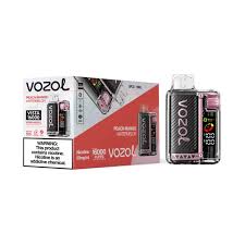 VOZOL VISTA 16K PEACH MANGO WATERMELON