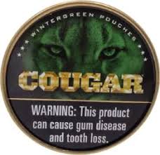 COUGAR WINTERGREEN POUCH
